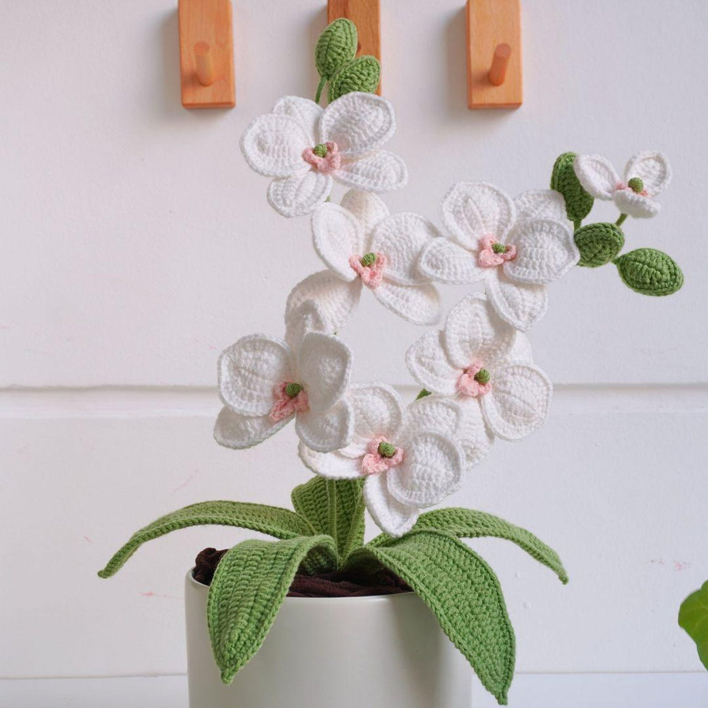 Decor Orchid Flowers Crochet Pattern