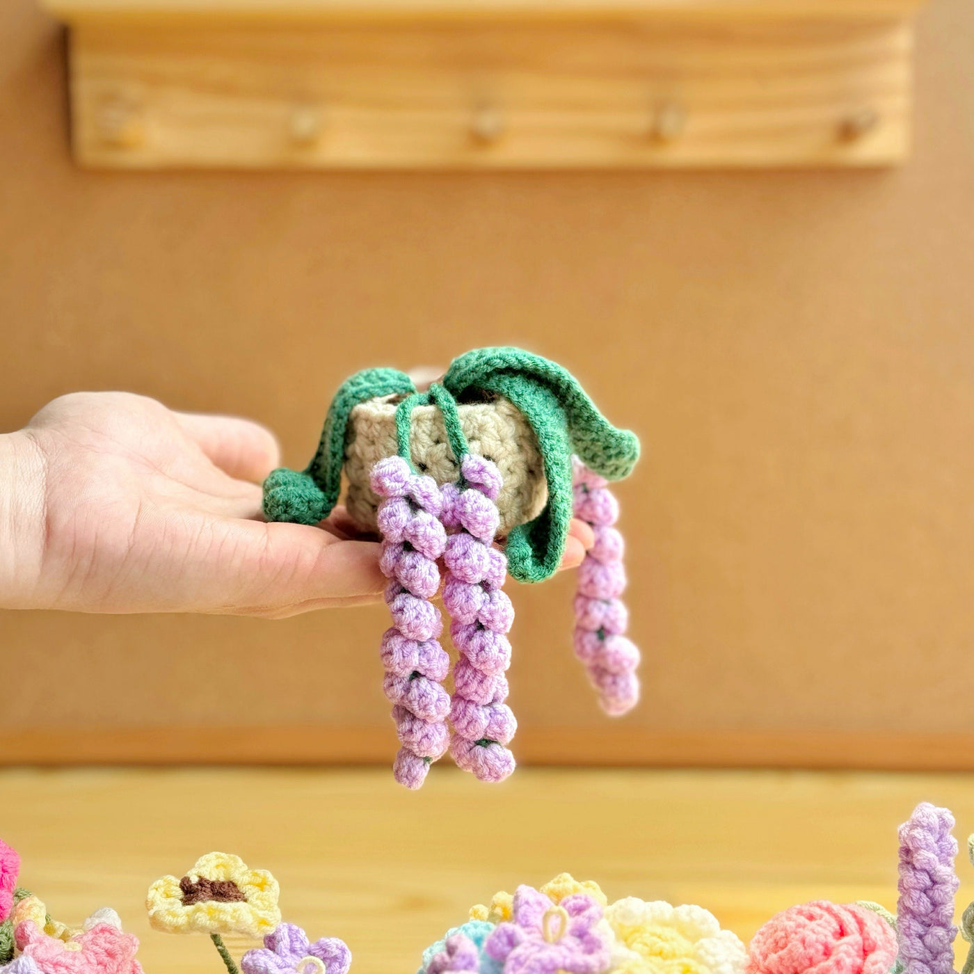 Fancy Hanging Plants Decor Crochet Pattern
