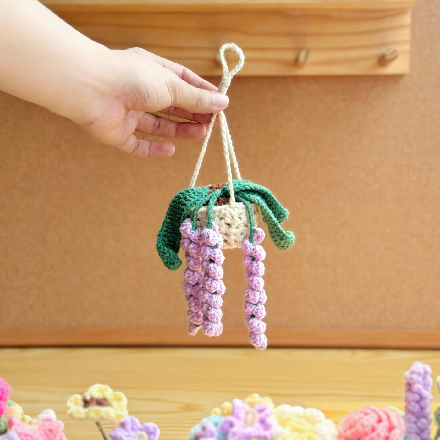 Fancy Hanging Plants Decor Crochet Pattern