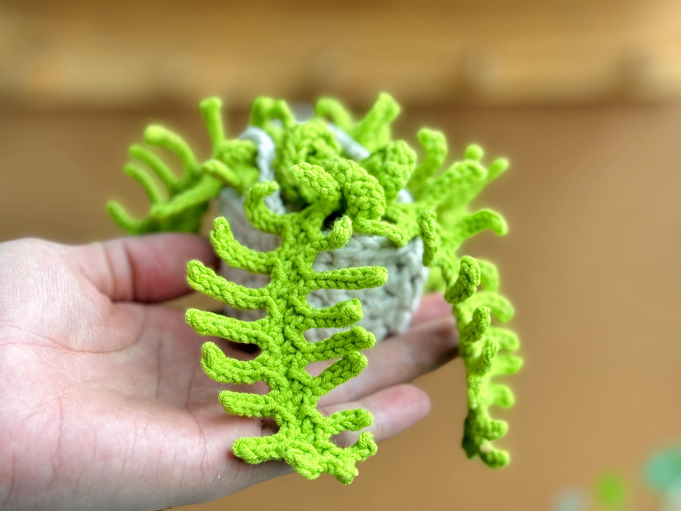Fancy Hanging Plants Decor Crochet Pattern