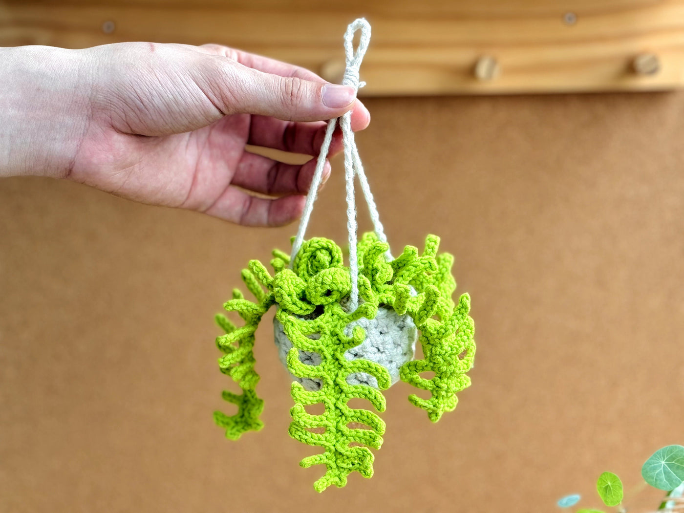 Fancy Hanging Plants Decor Crochet Pattern